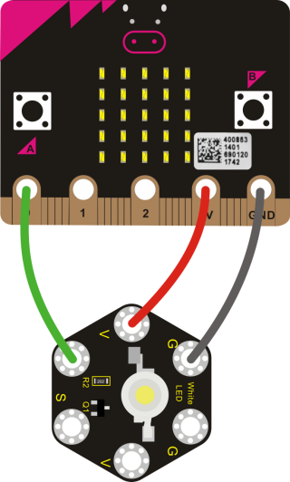 image-20260119091737996