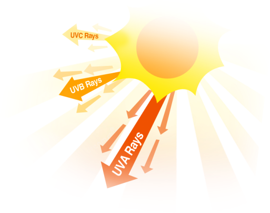 image-20231107092306332