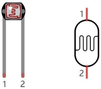 image-20230509103839019